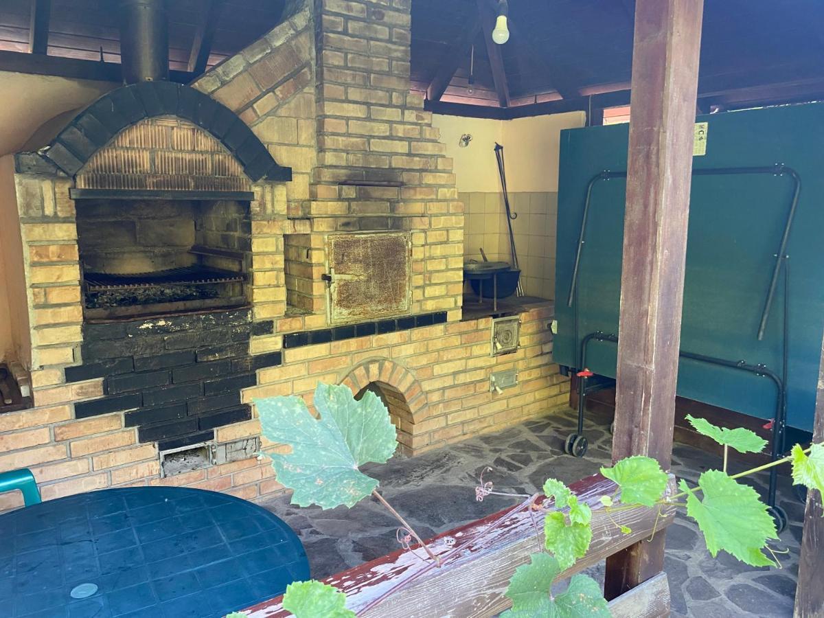 Csabi & Edi Vendeghaz Villa Sub Cetate Екстериор снимка